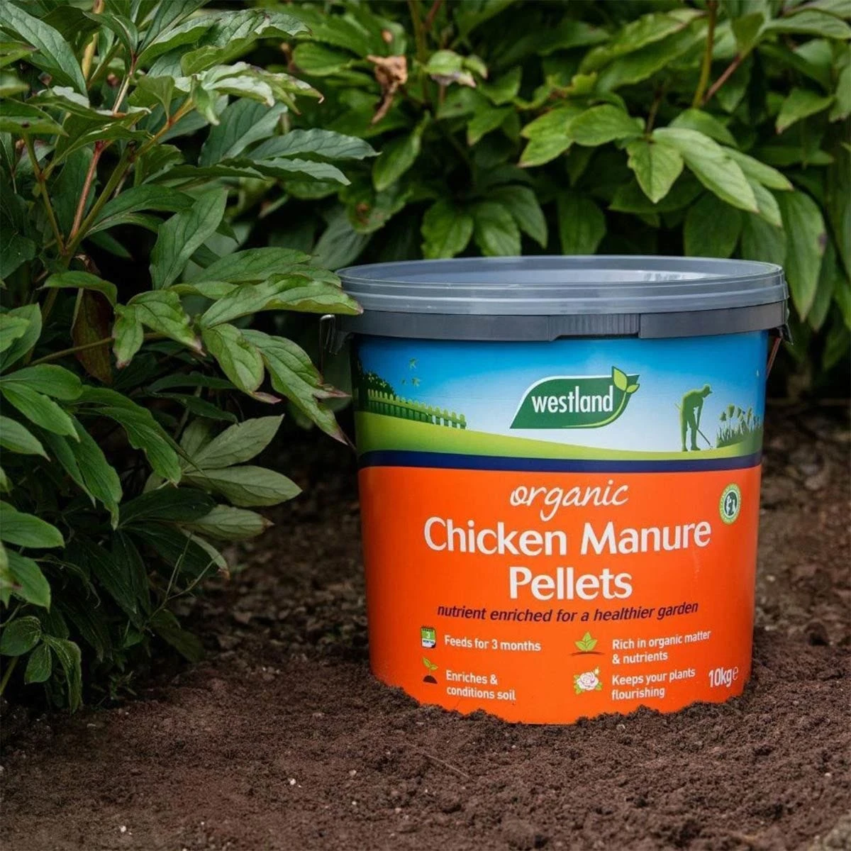 Westland Organic Chicken Manure Pellets Fertiliser Nutrient Enriched 10Kg 3 Westland Organic Chicken Manure Pellets Fertiliser Nutrient Enriched 10Kg - Image 3
