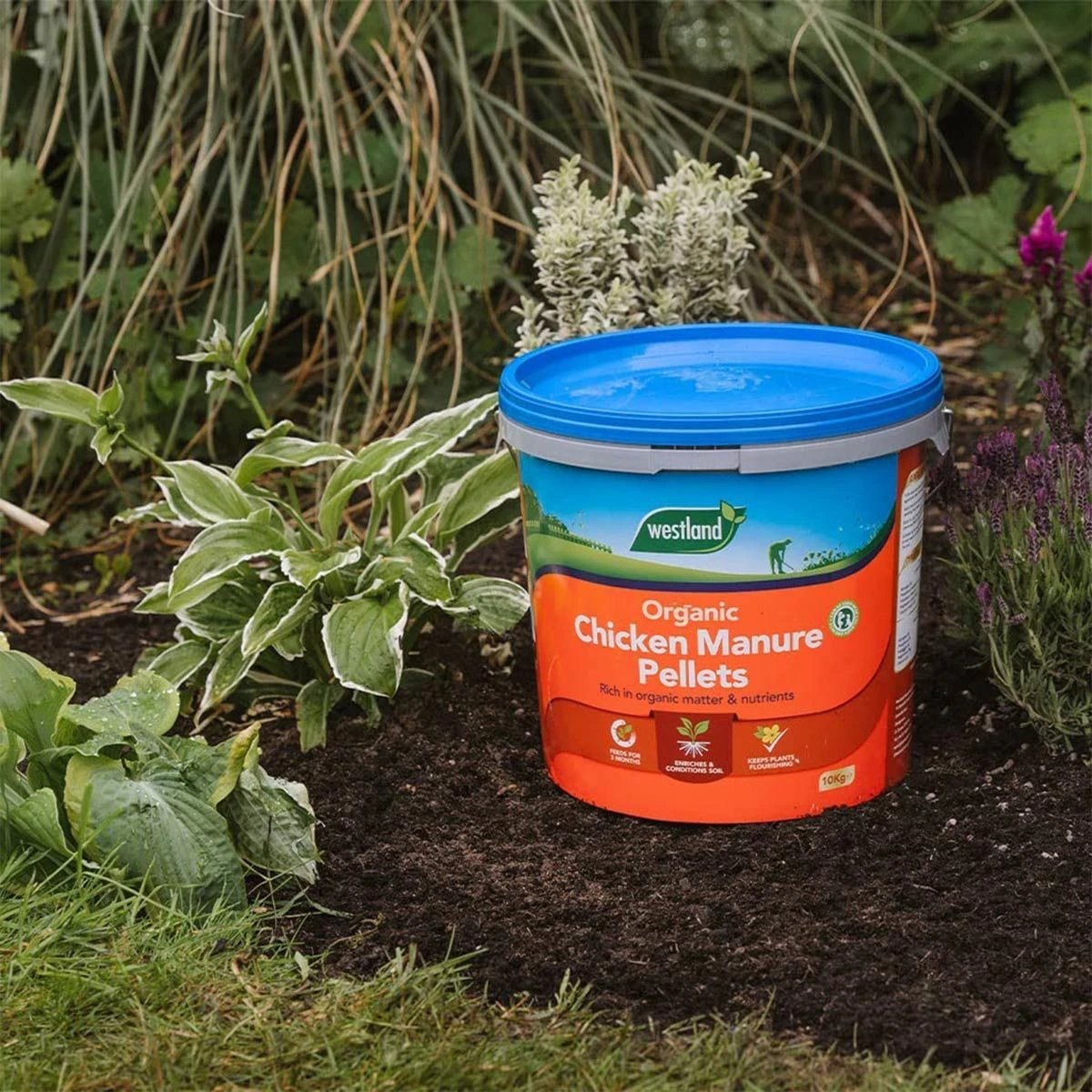 Westland Organic Chicken Manure Pellets Fertiliser Nutrient Enriched 10Kg 6 Westland Organic Chicken Manure Pellets Fertiliser Nutrient Enriched 10Kg - Image 6