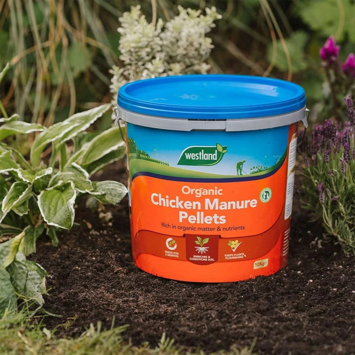 Westland Organic Chicken Manure Pellets Fertiliser Nutrient Enriched 10Kg 7 Westland Organic Chicken Manure Pellets Fertiliser Nutrient Enriched 10Kg - Image 7
