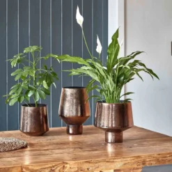 Opulent Metallic Bronze Planter H16cm W18.5cm 5 Opulent Metallic Bronze Planter H16cm W18.5cm -Garden Tools Shop 361631 3