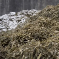 Thompson And Morgan Strulch Garden Mulch (100 Litre) X 2 Bags -Garden Tools Shop 370705 4 1