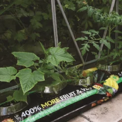 Thompson And Morgan Incredicrop Grow Bag - 1 Unit