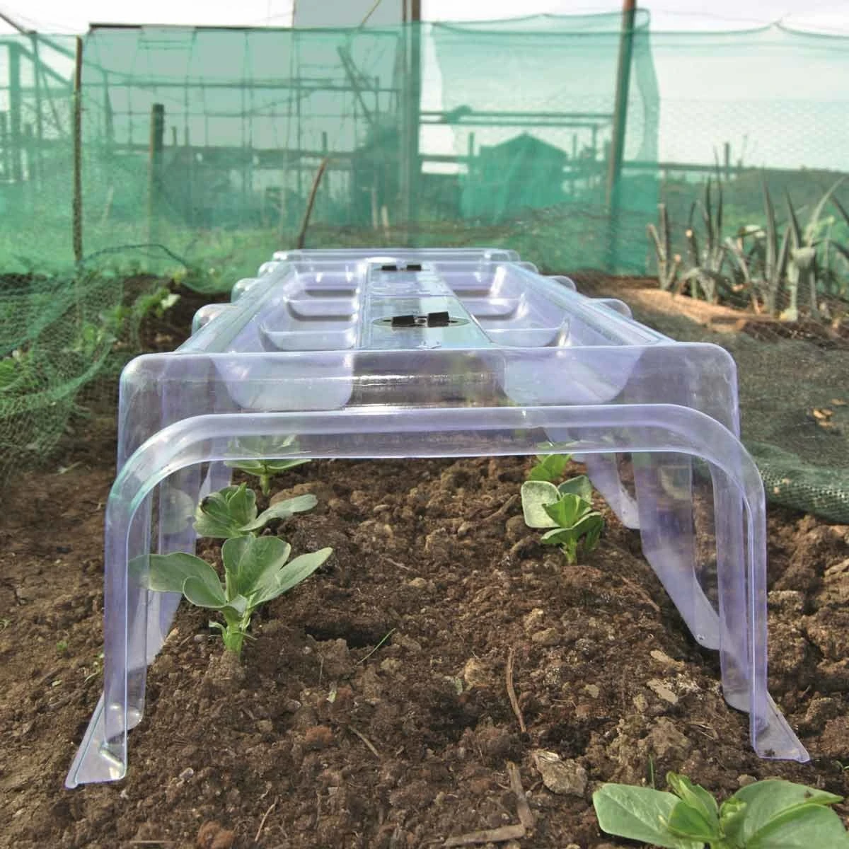 Garden Gear Mini Greenhouse 2 Cloches 4 Ends And Stakes 2 Garden Gear Mini Greenhouse 2 Cloches 4 Ends And Stakes - Image 2