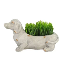 Solstice Sculptures Sausage Dog Planter 30Cm Weathered Light Stone Effect -Garden Tools Shop 375488 13