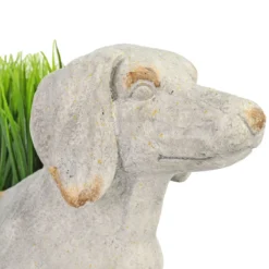 Solstice Sculptures Sausage Dog Planter 30Cm Weathered Light Stone Effect -Garden Tools Shop 375488 14