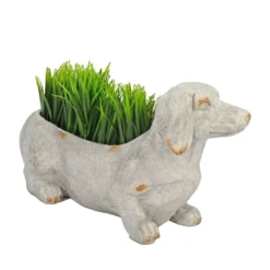 Solstice Sculptures Sausage Dog Planter 30Cm Weathered Light Stone Effect -Garden Tools Shop 375488 15