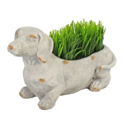 Solstice Sculptures Sausage Dog Planter 30Cm Weathered Light Stone Effect -Garden Tools Shop 375488 6