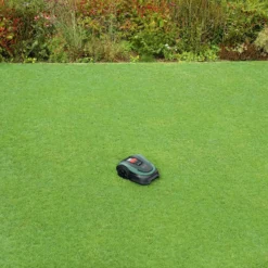 Bosch Indego XS 300 -Garden Tools Shop 375828 11