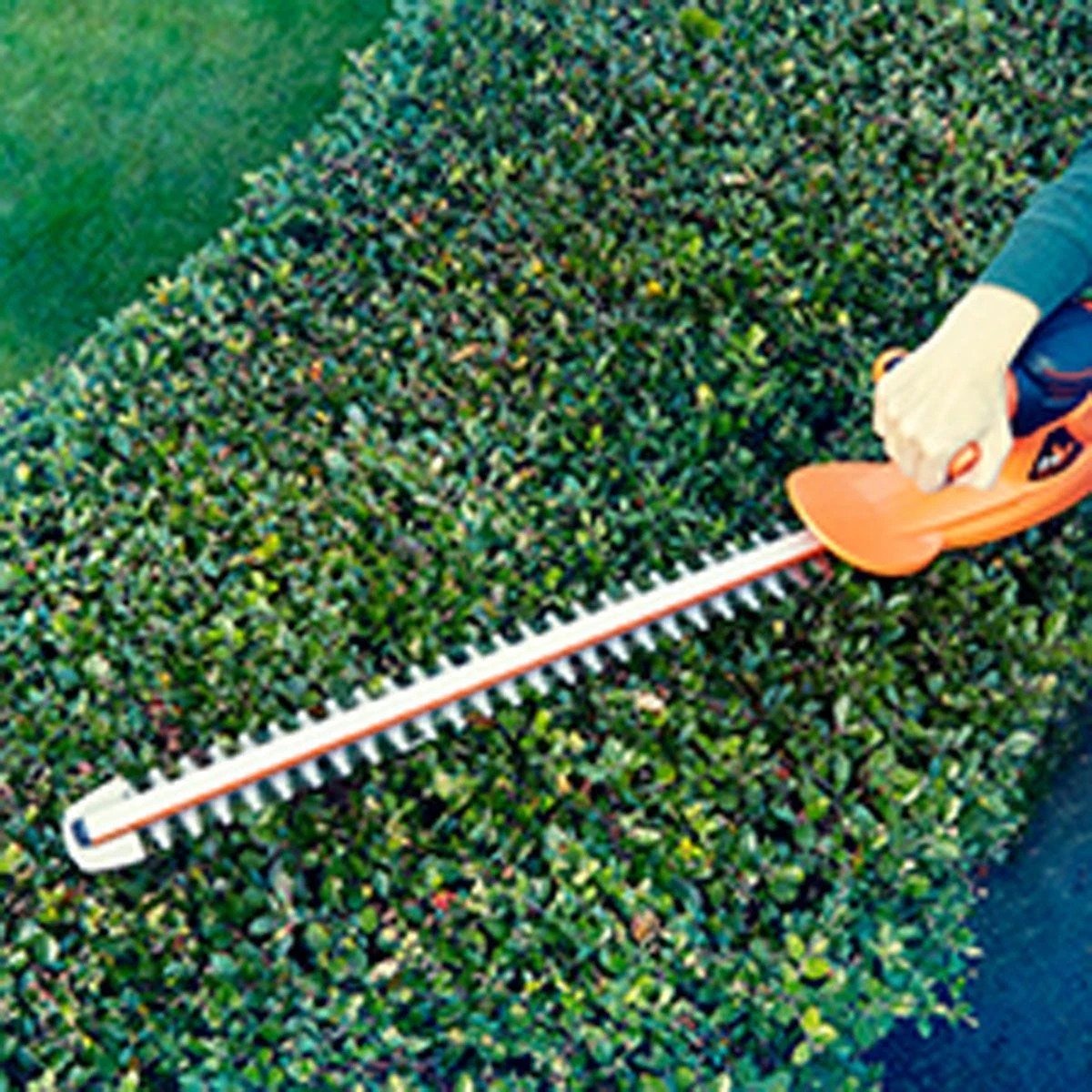 LawnMaster MX 24V 52cm Cordless Hedge Trimmer 4 LawnMaster MX 24V 52cm Cordless Hedge Trimmer - Image 4