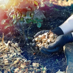 LawnMaster 2400W Quiet Garden Shredder -Garden Tools Shop 380167 9