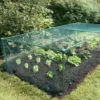 Gardenskill Fruit And Vegetable Garden Cage Kit With Bird Netting 1 X 1 X 0.625M