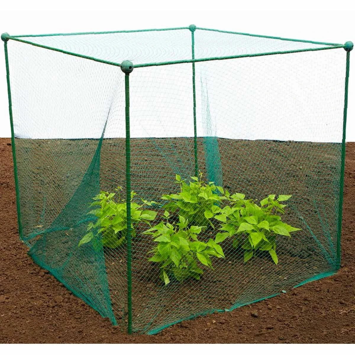 Gardenskill Fruit And Vegetable Garden Cage Kit With Butterfly Netting 1 X 1 X 1.125M 2 Gardenskill Fruit And Vegetable Garden Cage Kit With Butterfly Netting 1 X 1 X 1.125M - Image 2