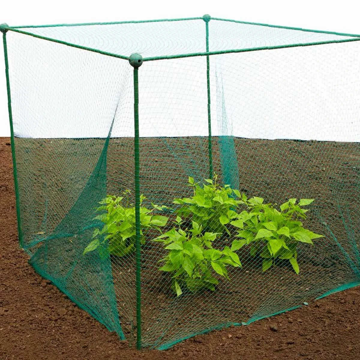 Gardenskill Fruit And Vegetable Garden Cage Kit With Butterfly Netting 1 X 1 X 1.125M 5 Gardenskill Fruit And Vegetable Garden Cage Kit With Butterfly Netting 1 X 1 X 1.125M - Image 5