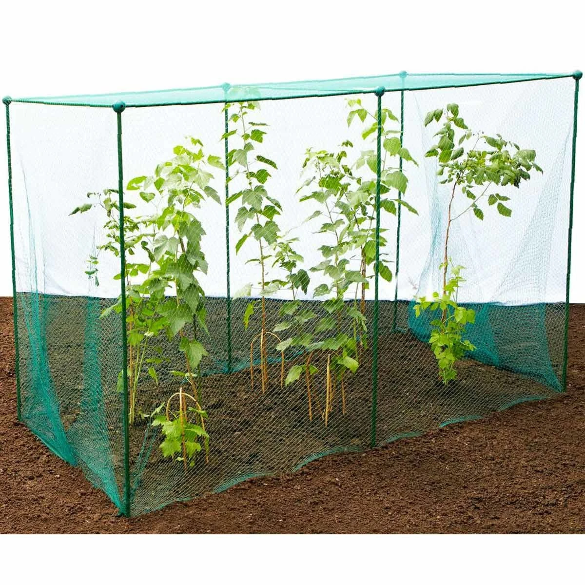 Gardenskill Fruit And Vegetable Garden Cage Kit With Butterfly Netting 2.5 X 1.25 X 1.25M 3 Gardenskill Fruit And Vegetable Garden Cage Kit With Butterfly Netting 2.5 X 1.25 X 1.25M - Image 3