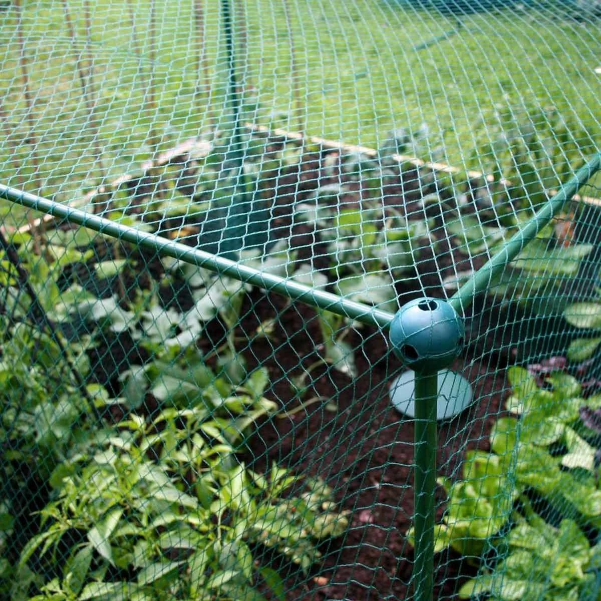 Gardenskill Fruit And Vegetable Garden Cage Kit With Butterfly Netting 2.5 X 1.25 X 1.25M 5 Gardenskill Fruit And Vegetable Garden Cage Kit With Butterfly Netting 2.5 X 1.25 X 1.25M - Image 5