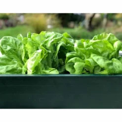 Gardenskill Build-a-bed Raised Vegetable Grow Bed And Planter 2.5 X 1.25 X 0.15M -Garden Tools Shop 380232 8