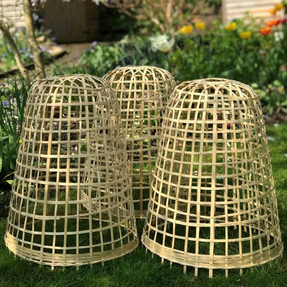 Gardenskill Bamboo Bell Cloche And Garden Plant Protection Cover Small - Pack Of 3 1 Gardenskill Bamboo Bell Cloche And Garden Plant Protection Cover Small - Pack Of 3