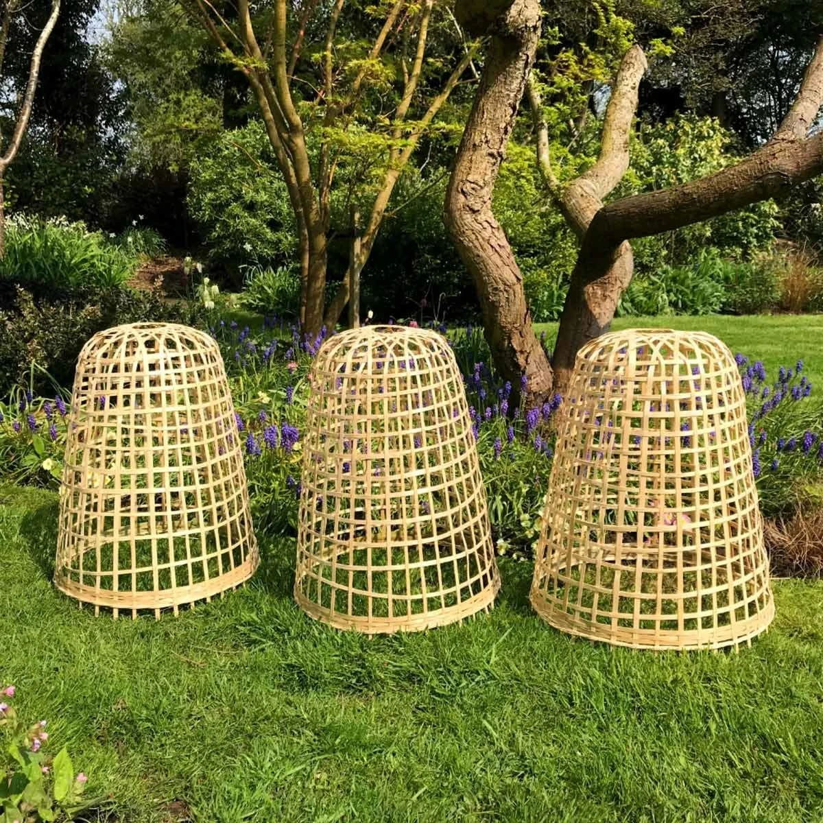 Gardenskill Bamboo Bell Cloche And Garden Plant Protection Cover Small - Pack Of 3 3 Gardenskill Bamboo Bell Cloche And Garden Plant Protection Cover Small - Pack Of 3 - Image 3