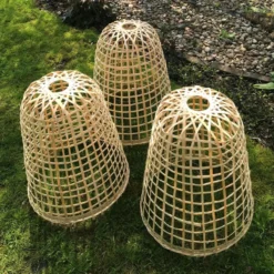 Gardenskill Bamboo Bell Cloche And Garden Plant Protection Cover Small - Pack Of 3 8 Gardenskill Bamboo Bell Cloche And Garden Plant Protection Cover Small - Pack Of 3 -Garden Tools Shop 380248 4