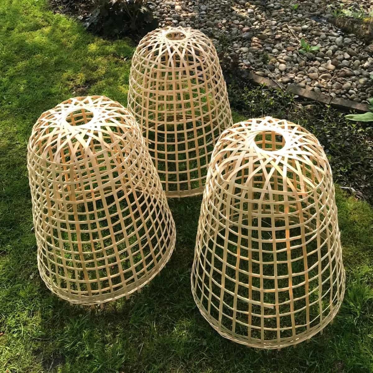 Gardenskill Bamboo Bell Cloche And Garden Plant Protection Cover Small - Pack Of 3 4 Gardenskill Bamboo Bell Cloche And Garden Plant Protection Cover Small - Pack Of 3 - Image 4