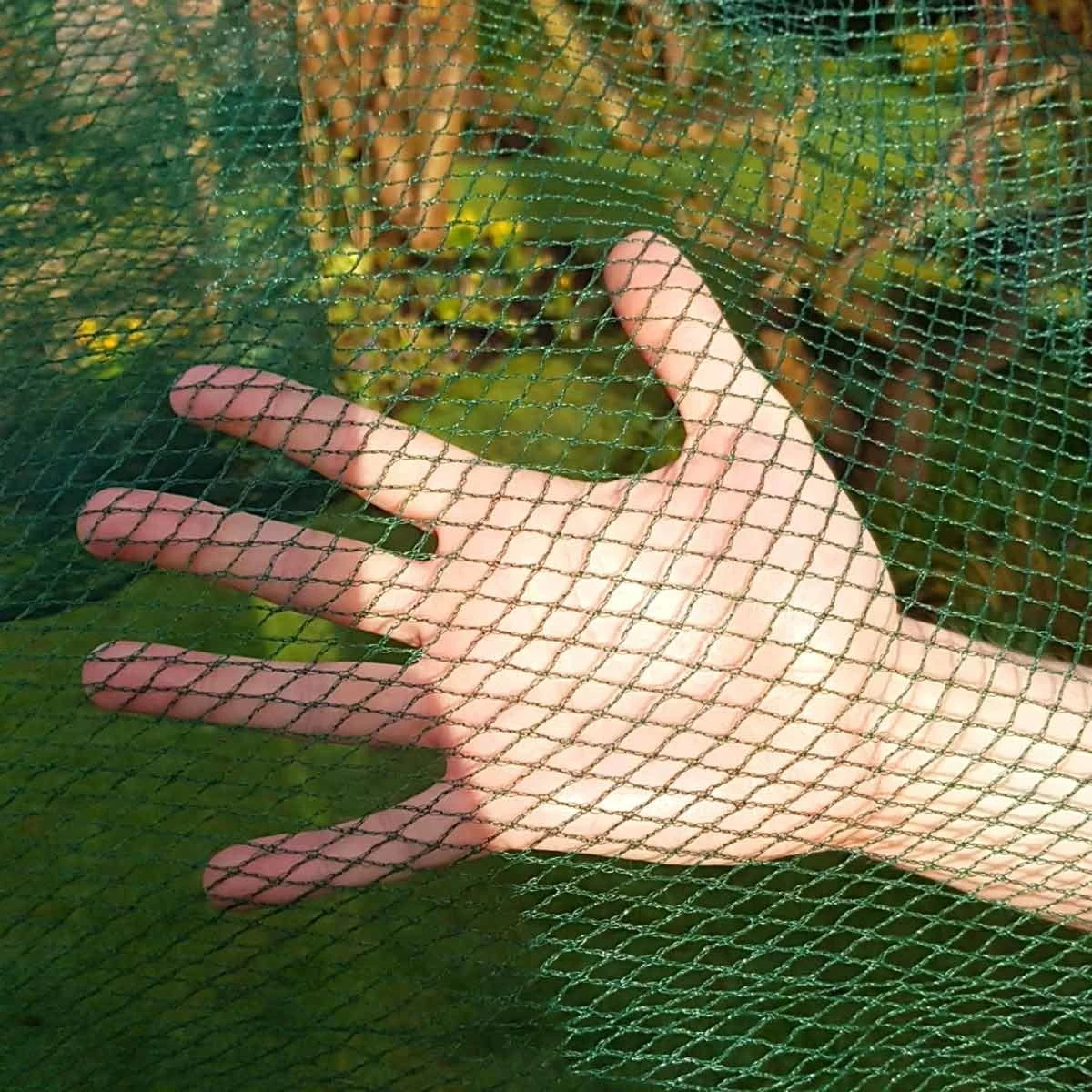 Gardenskill Soft Butterfly Mesh Netting For Cabbages, Brassicas And Plants 8M X 100M 3 Gardenskill Soft Butterfly Mesh Netting For Cabbages, Brassicas And Plants 8M X 100M - Image 3
