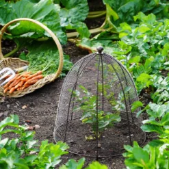 Ivyline Outdoor Wired Plant Protector Bronze H48cm W36 -Garden Tools Shop 390212 5