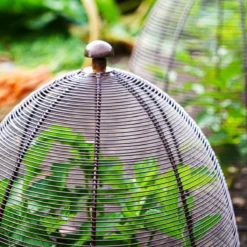 Ivyline Outdoor Wired Plant Protector Bronze H48cm W36 -Garden Tools Shop 390212 7