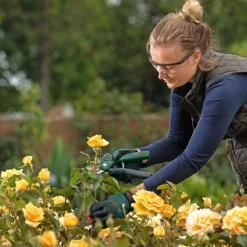 Bosch EasyPrune -Garden Tools Shop 395108 7