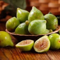 Thompson & Morgan Fig (Ficus) Carica (Green Fig) 9cm Pot X 2 -Garden Tools Shop 395293 5 1