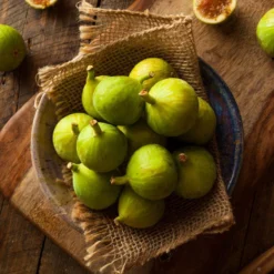 Thompson & Morgan Fig (Ficus) Carica (Green Fig) 9cm Pot X 2 -Garden Tools Shop 395293 6 1