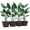 Outsunny Outdoor Planter Pack Of 4, Rattan Effect Plant Pots