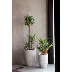 Capi Europe Vase Elegant Low Rib NL 34x46 Ivory -Garden Tools Shop 406382 03