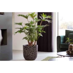 Capi Europe Planter Ball Clay NL 35x34 Anthracite -Garden Tools Shop 406392 03