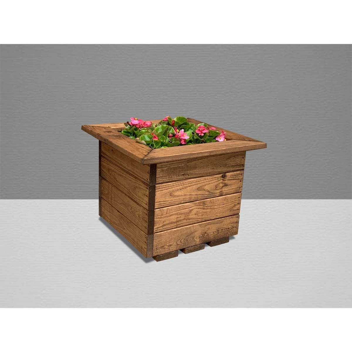 Charles Taylor 2pc Small Planter Set 3 Charles Taylor 2pc Small Planter Set - Image 3