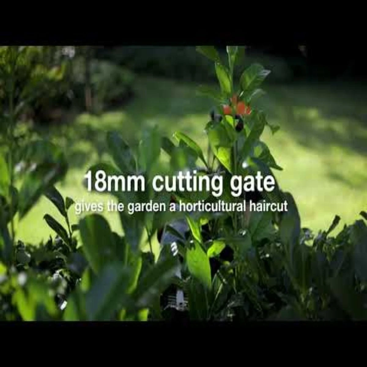 Webb 50cm (20") 20V Cordless Hedge Trimmer With Battery & Charger 10 Webb 50cm (20") 20V Cordless Hedge Trimmer With Battery & Charger - Image 10